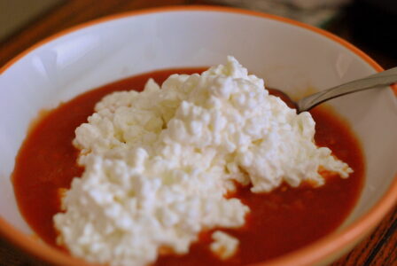 Homemade Cottage Cheese on Salsa